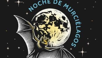Vive la experiencia 'Noche de Murciélagos' en Iztapalapa