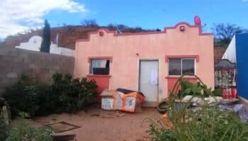 Incautan perros congelados y fileteados a expolicía federal en Sonora