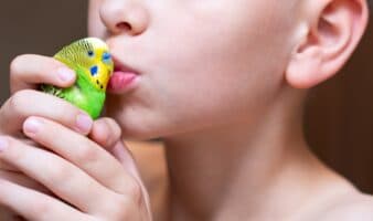 ¿Cuántos besos nos damos? #Niñonautas con Kirén Miret