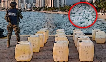 'El Huachicol sirve para financiar el fentanilo': Acosta Naranjo | Entérate