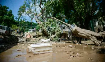 Deforestación y manejo de cuencas, claves en las inundaciones: Dr. Robert Manson