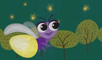 Descubren nueva especie de luciérnaga en el Bosque de Chapultepec; participa para nombrar a la nueva especie