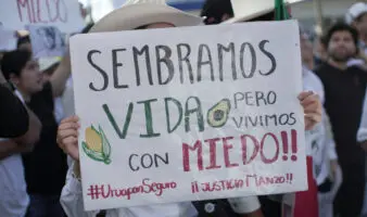 Plan Michoacán requiere evaluación ciudadana, eliminación de la corrupción y estrategia integral: Mesa de análisis