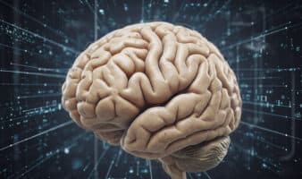 ¿Nacemos preparados para entender el mundo? Un reciente estudio afirma que sí