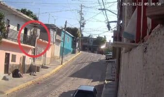 Chiapas | FGE detiene a adulta mayor que agredió a un perro y difunde disculpas