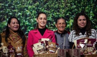 'El Maíz es la Raíz': Presentan plan para para proteger y fortalecer el cultivo del maíz nativo