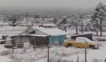La Sierra Tarahumara se cubre de nieve: Así impacta la segunda tormenta invernal en Chihuahua
