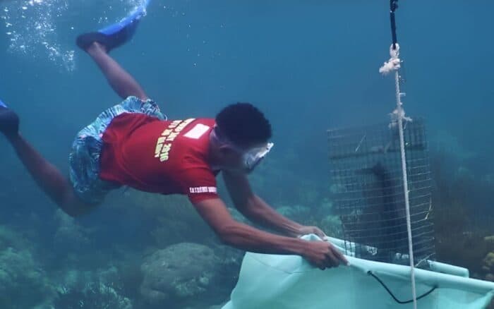 Más de 200 personas monitorean al mismo tiempo y en cuatro países el Sistema Arrecifal Mesoamericano, el segundo más grande del mundo