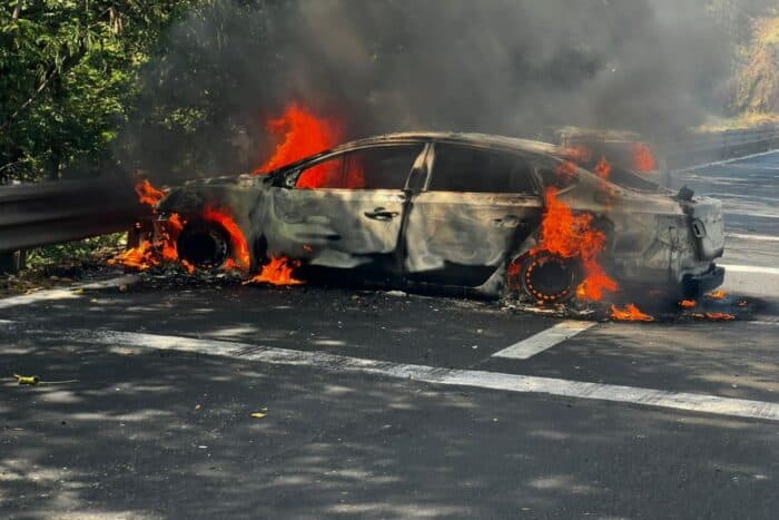 'El Mencho es un hijo del Estado mexicano': Buscaglia
