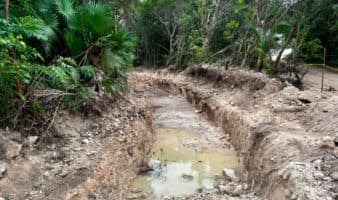 Juzgado concede suspensión definitiva que frena cambios de uso de suelo en 'Perfect Day Mahahual'