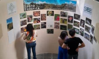 Ciencia colaborativa: cuando la ciencia ciudadana y la academia se encuentran