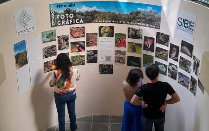 Ciencia colaborativa: cuando la ciencia ciudadana y la academia se encuentran