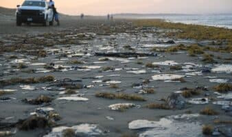 Semarnat atiende derrame de hidrocarburo en Veracruz y Tabasco