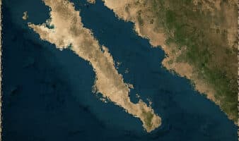 Proyecto Saguaro es 'imperialismo ecológico' en el Golfo de California: Mittermeier