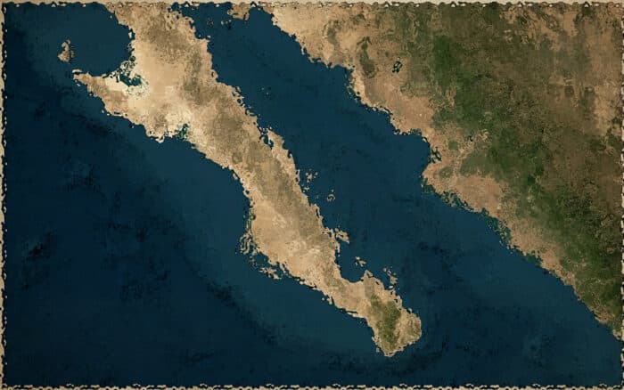 Proyecto Saguaro es 'imperialismo ecológico' en el Golfo de California: Mittermeier