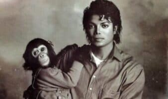 ¿Jaafar Jackson visitó a Bubbles? Center for Great Apes responde