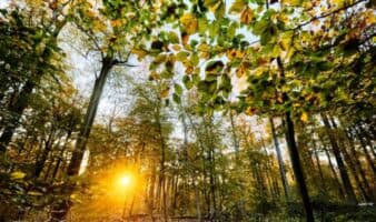 Día Natura 2000, red protege más de 27 mil áreas naturales en Europa