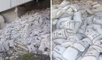 Frijol del Bienestar en Zacatecas se almacena pero no se distribuye: periodista