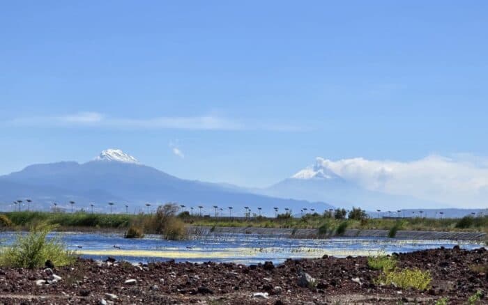 Ciencia ciudadana en los humedales del Lago de Texcoco: un año de exploración