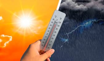 Frente a las olas de calor, FIFA 'no protege' a jugadores y aficionados en el Mundial