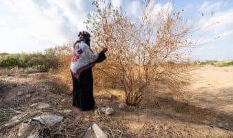 ONG 'Plan International' alerta del impacto de la crisis climática en los derechos de las niñas