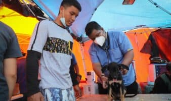 Refugios de animales, desbordados tras los devastadores terremotos en Venezuela