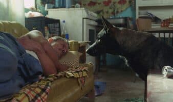 ‘Morro’, la película inspirada en el perro de un capo mexicano