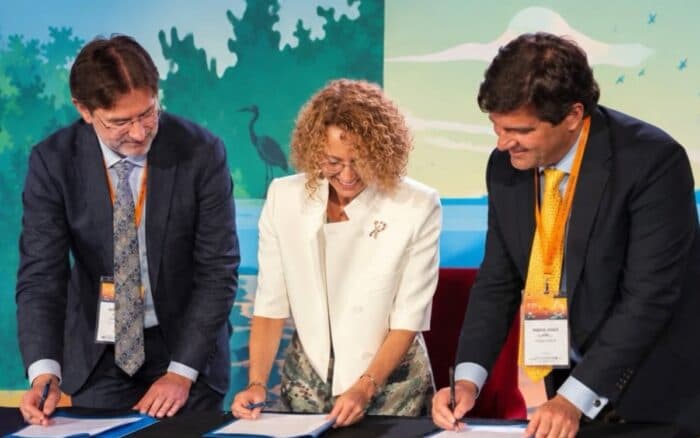 BirdLife, Audubon y CAF desarrollan un marco científico para conservar aves migratorias en América Latina y el Caribe