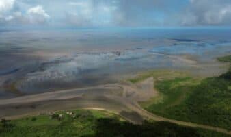 El Atlántico avanza hacia la costa y cambia la vida en la desembocadura del Amazonas | Mongabay Latam