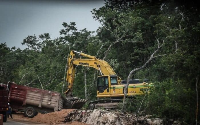 Defender el territorio con la ley en contra: ¿Cómo las reformas al amparo dificultan la justicia ambiental en México?